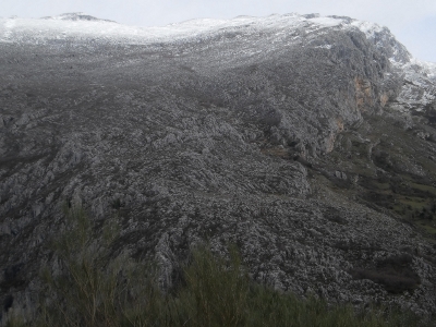 Saleras1
