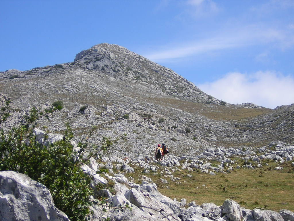 El Moncuevo